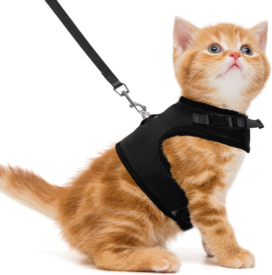 Soft Mesh Cat Vest Harness and Leash Set Puppy Padded Pet Harnesses Escape Proof for Cats Small Dogs Rabbits Bunny, Black Medium