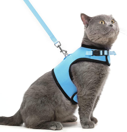 Soft Mesh Cat Vest Harness and Leash Set Puppy Padded Pet Harnesses Escape Proof for Cats Small Dogs, Blue Large